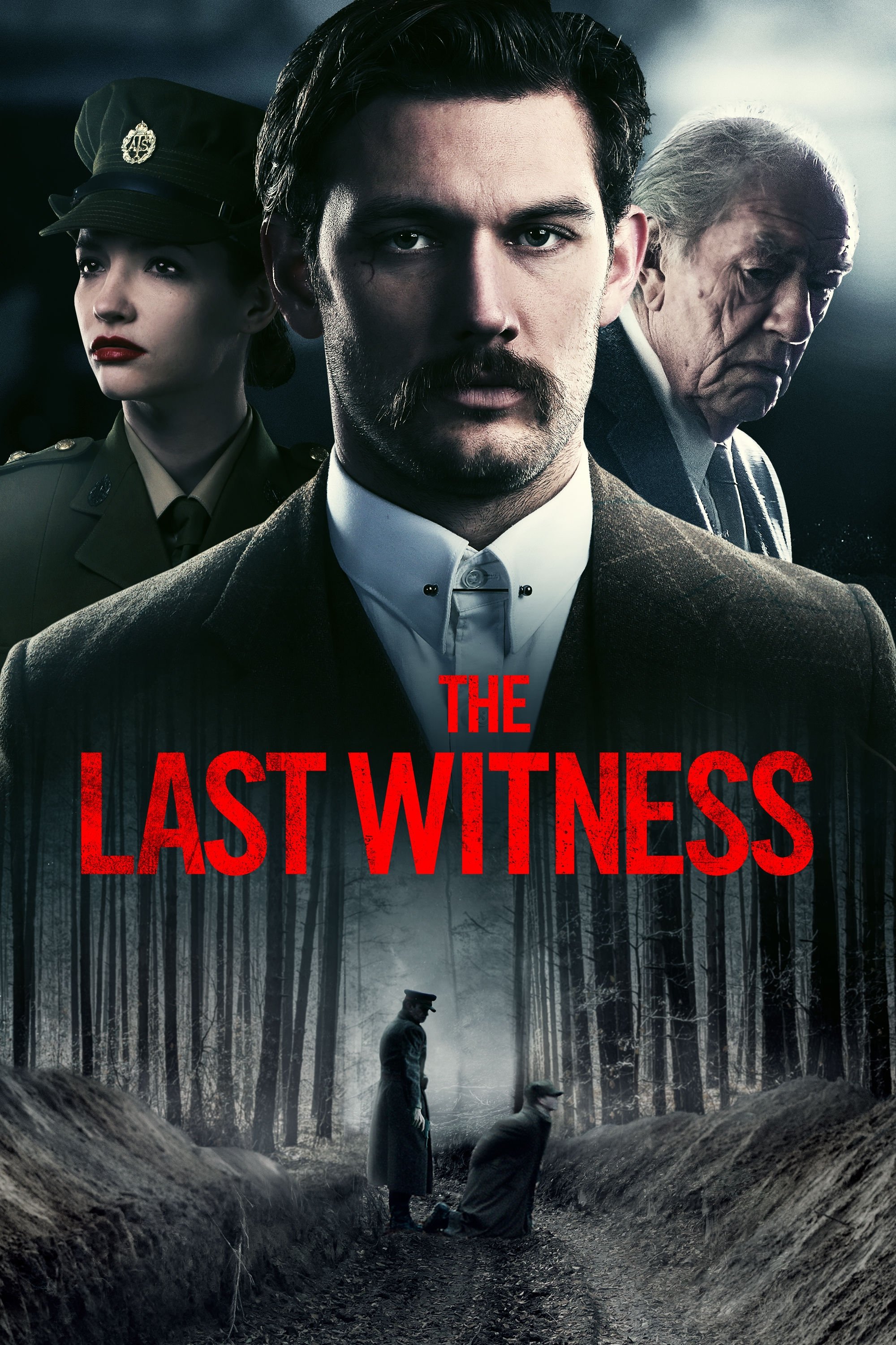 Постер The Last Witness
